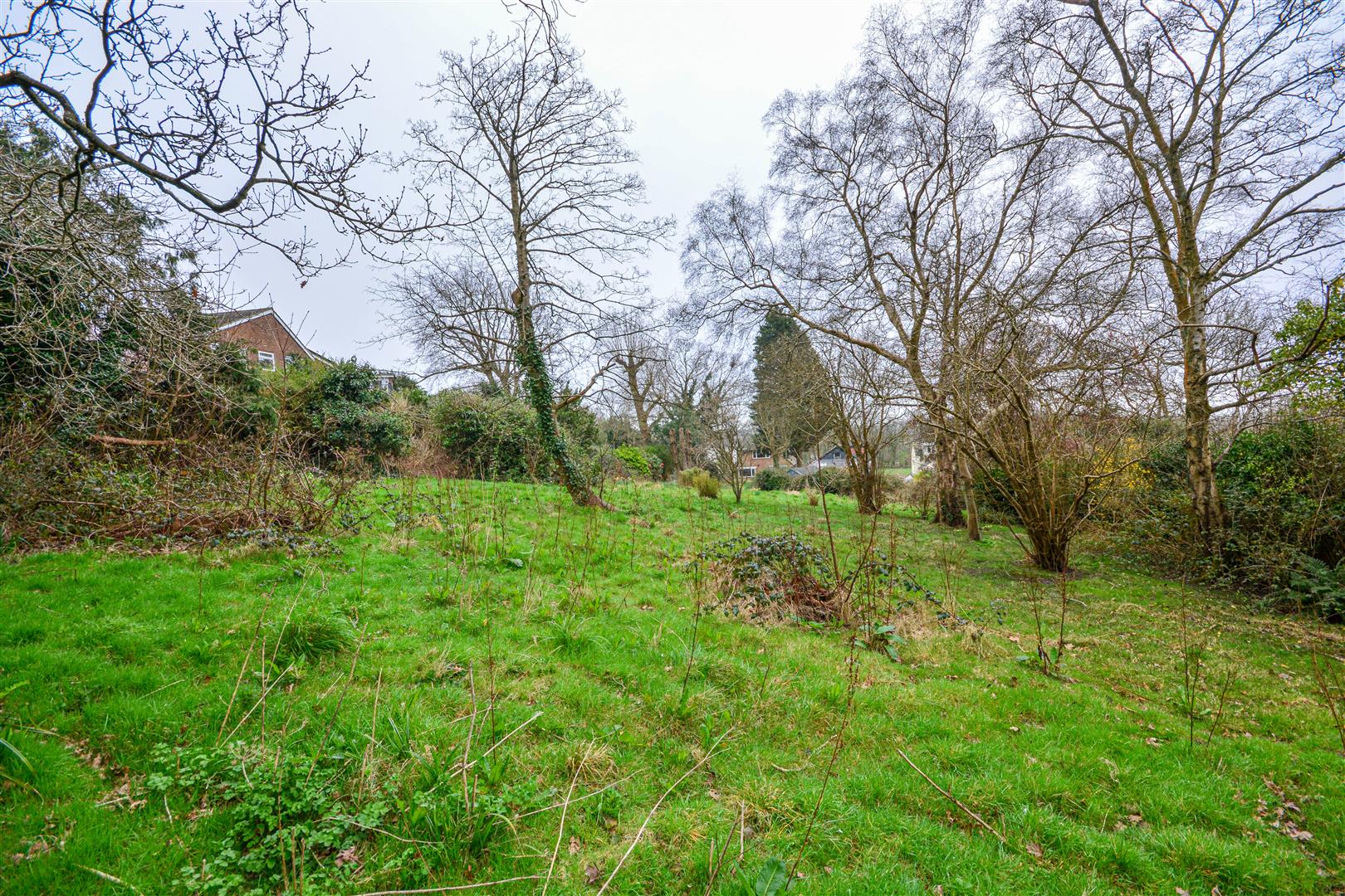 Ochiltree Road, Hastings Rush, Witt & Wilson